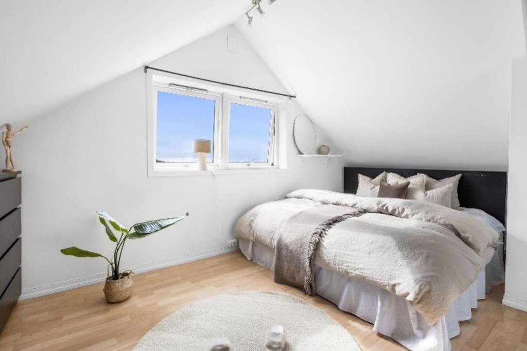 Ferienhaus Cozy Detached